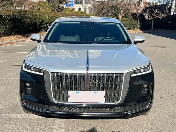 Фото 2 - Hongqi H9