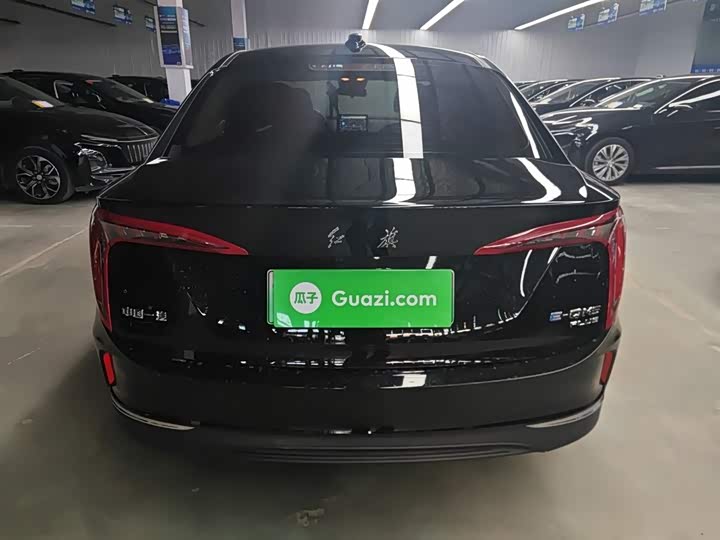 Фото 6 - Hongqi E-QM5