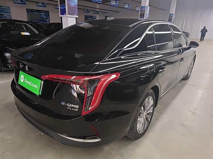 Фото 7 - Hongqi E-QM5