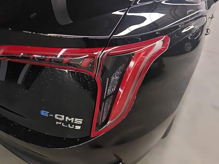 Фото 8 - Hongqi E-QM5