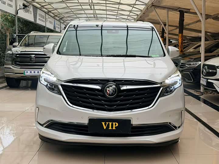 Фото 2 - Buick GL8 ES