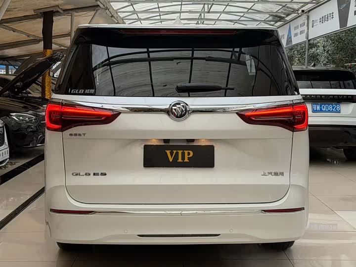 Фото 5 - Buick GL8 ES