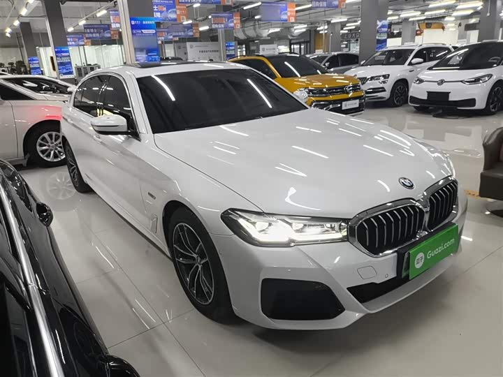 Фото 4 - BMW 5 Series Hybrid