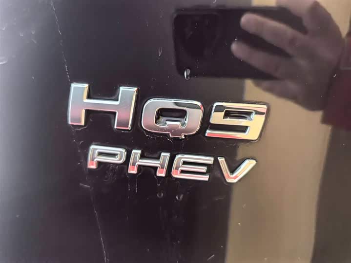 Фото 9 - Hongqi HQ9 Hybrid