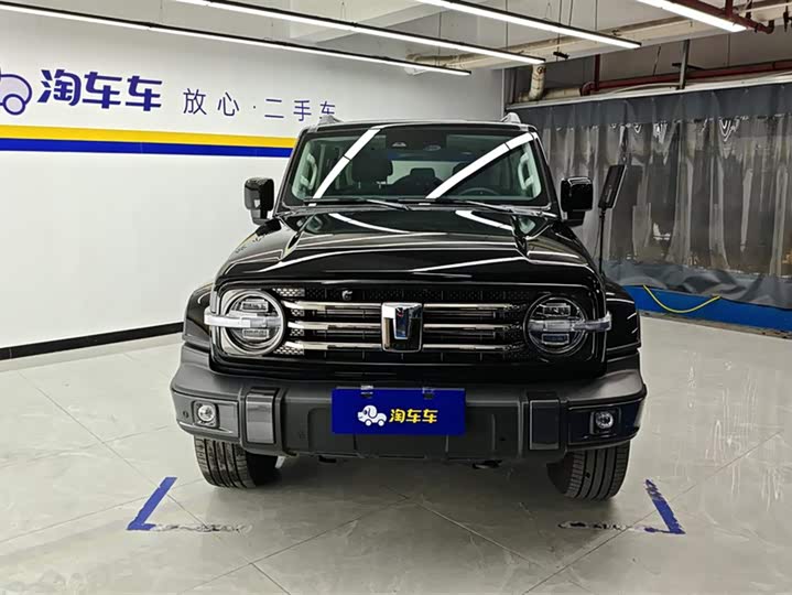 Фото 2 - Tank 300