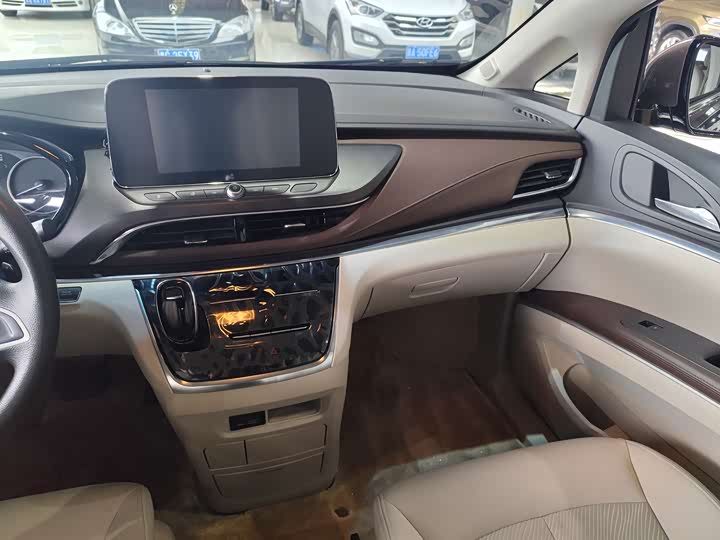 Фото 7 - Buick GL8 ES