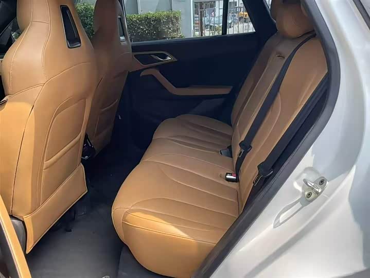 Фото 4 - Roewe RX5