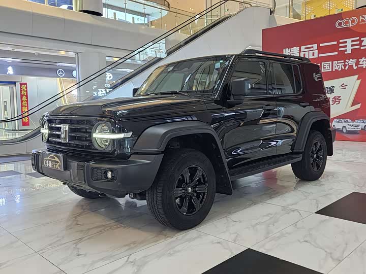 Фото 1 - Tank 300