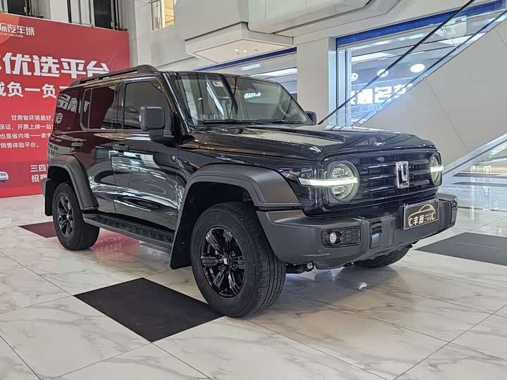 Фото 3 - Tank 300