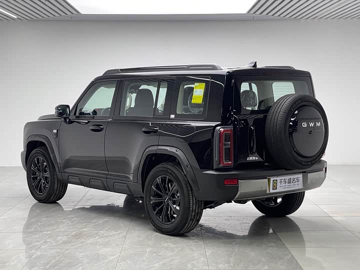 Фото 4 - Haval Raptor Hybrid