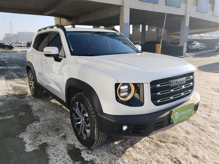 Фото 4 - Haval Dargo