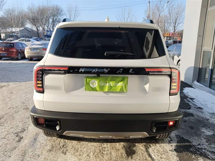 Фото 6 - Haval Dargo