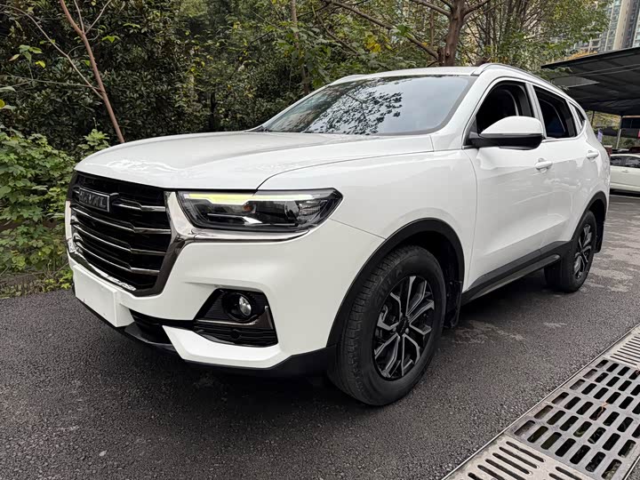 Фото 1 - Haval H6