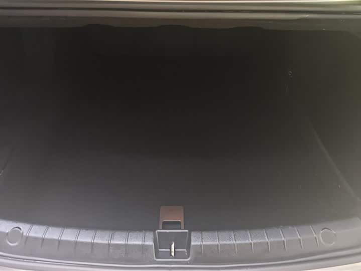 Фото 4 - BYD Qin Plus