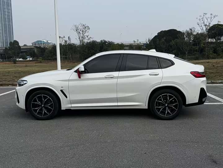 Фото 2 - BMW X4
