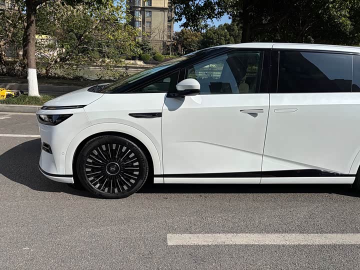 Фото 3 - XPeng X9