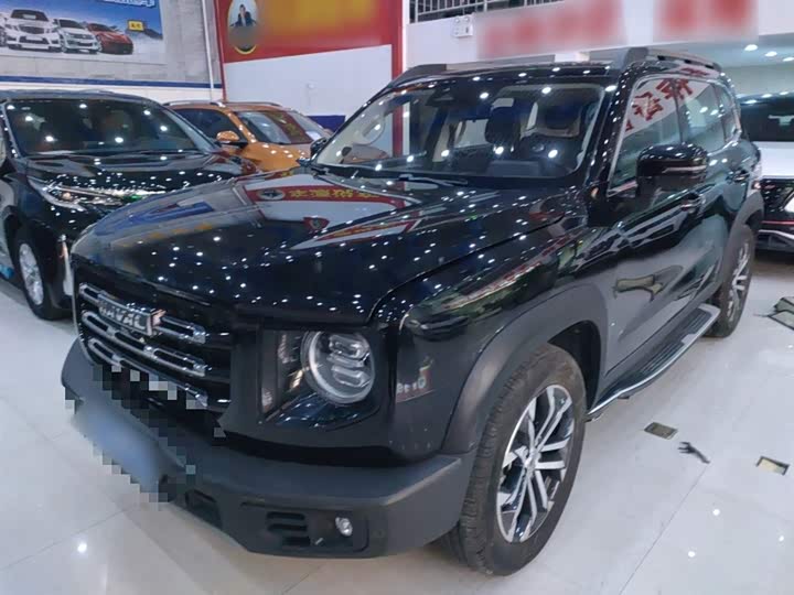 Фото 2 - Haval Dargo