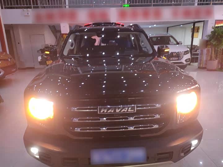 Фото 3 - Haval Dargo