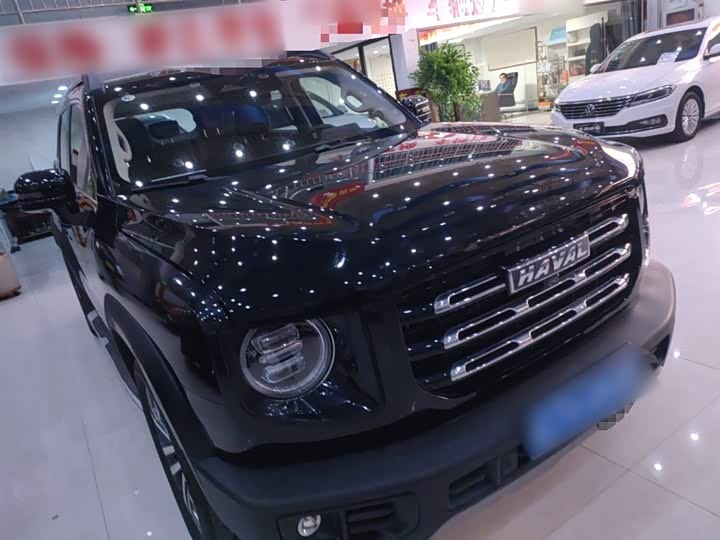 Фото 4 - Haval Dargo