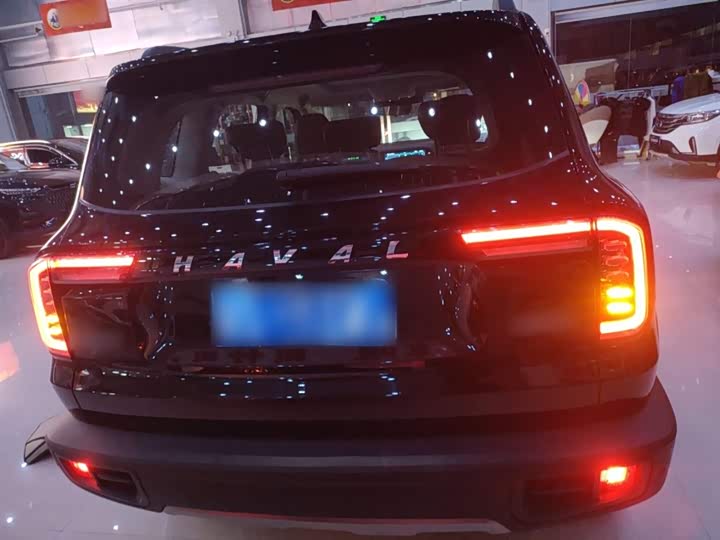 Фото 6 - Haval Dargo