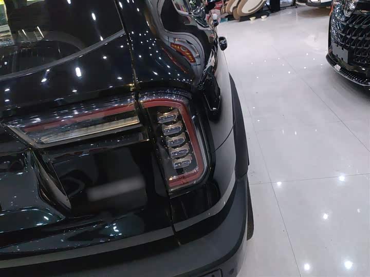 Фото 8 - Haval Dargo