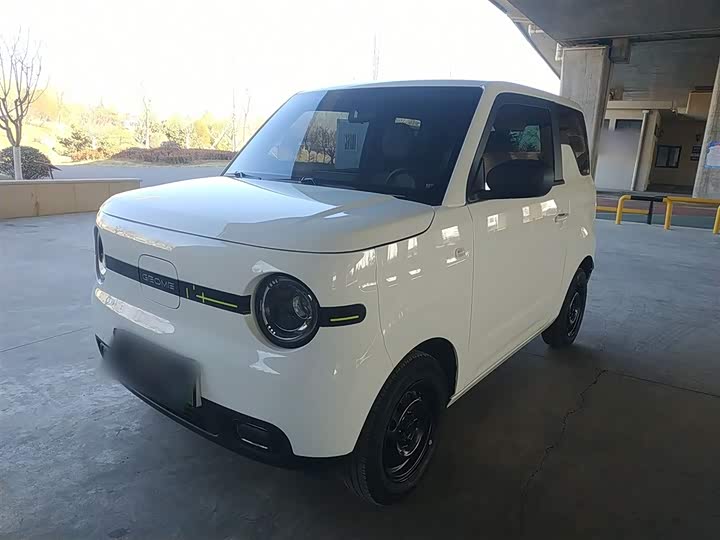 Фото 1 - Geely Galaxy Panda Mini