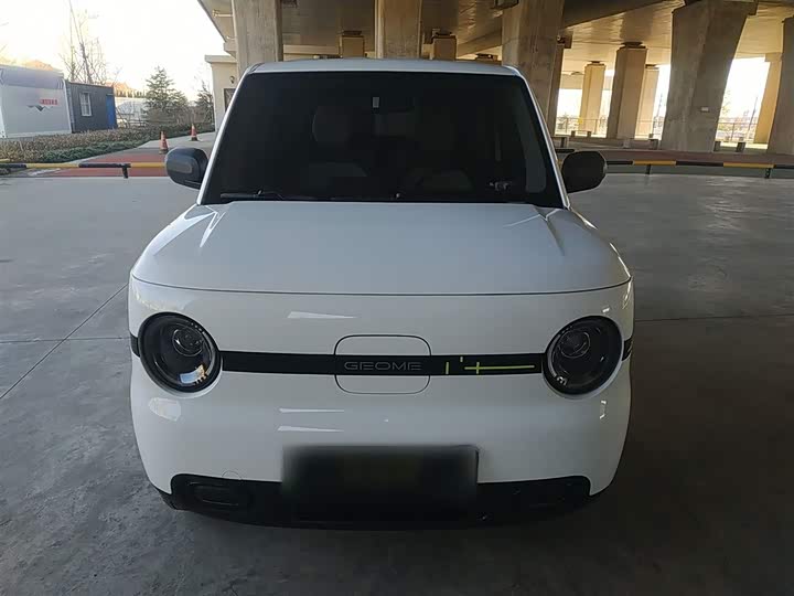 Фото 3 - Geely Galaxy Panda Mini