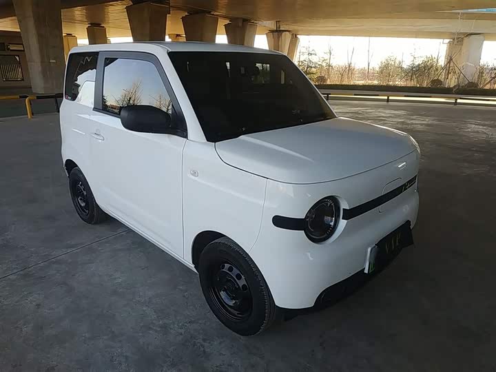 Фото 4 - Geely Galaxy Panda Mini