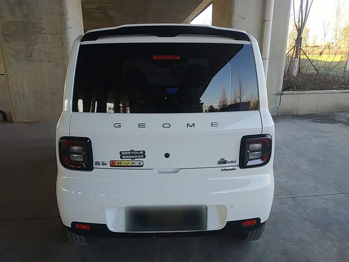 Фото 6 - Geely Galaxy Panda Mini