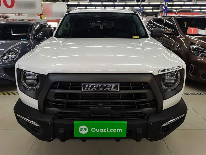 Фото 3 - Haval Dargo