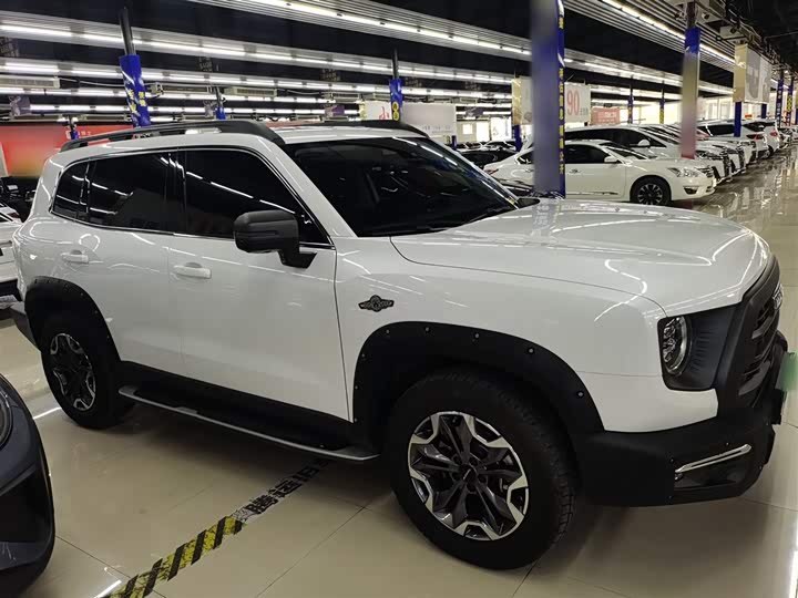 Фото 4 - Haval Dargo