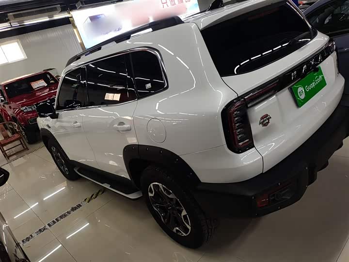 Фото 7 - Haval Dargo