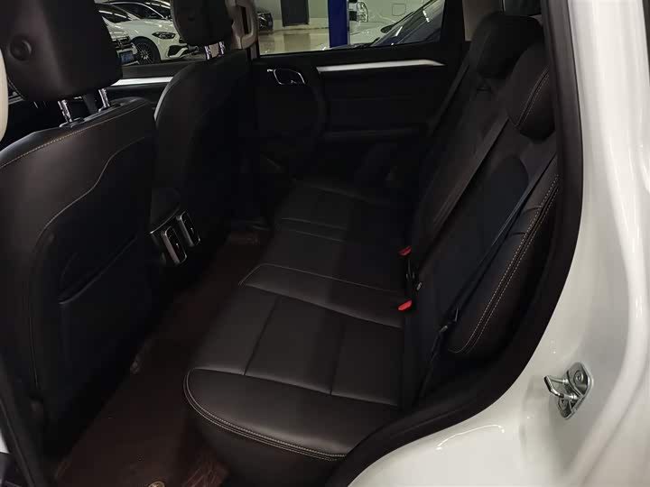 Фото 8 - Haval Dargo