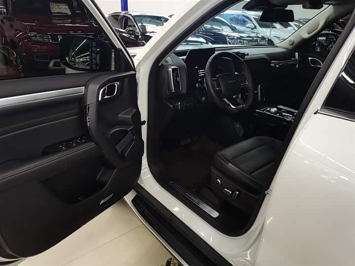 Фото 9 - Haval Dargo