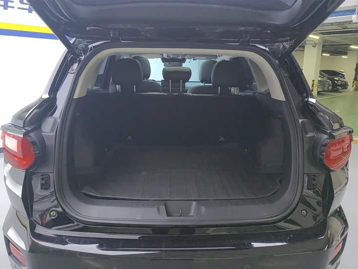 Фото 4 - Haval H-Dog