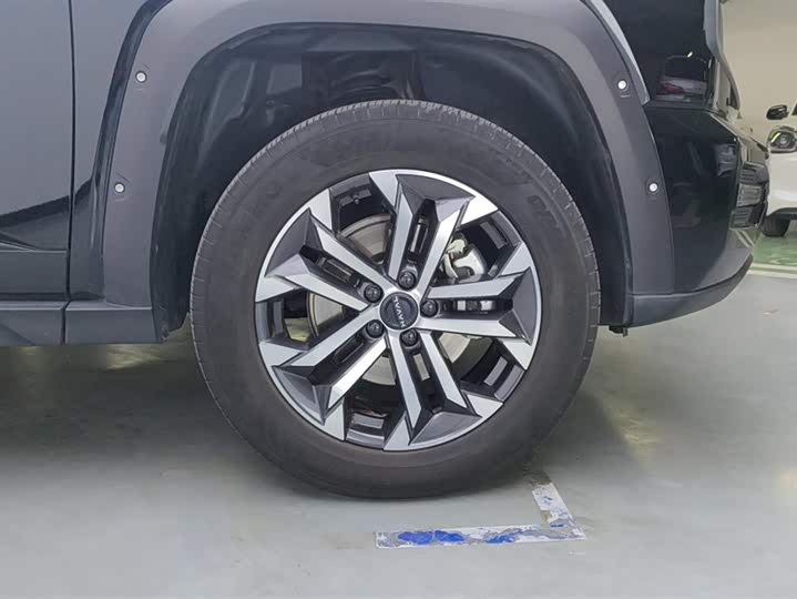 Фото 6 - Haval H-Dog