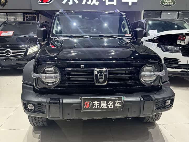 Фото 2 - Tank 300