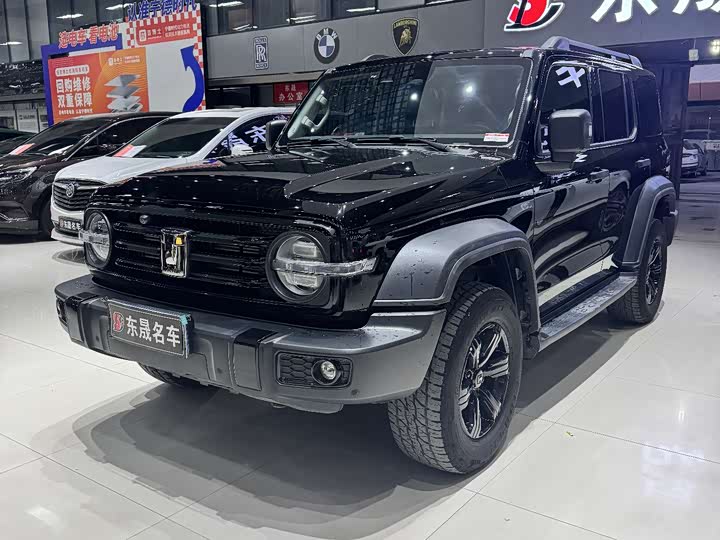 Фото 3 - Tank 300