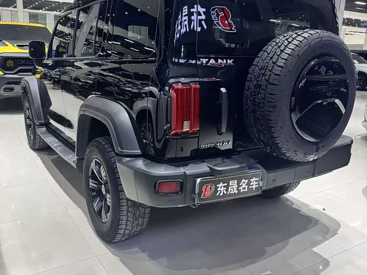 Фото 7 - Tank 300