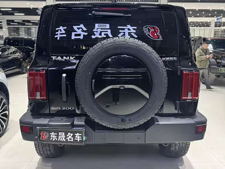 Фото 8 - Tank 300