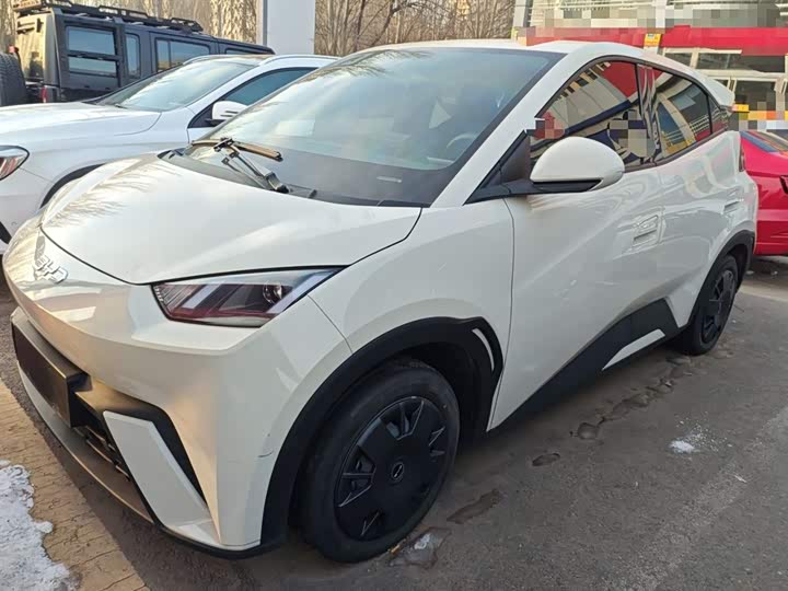 Фото 2 - BYD Seagull