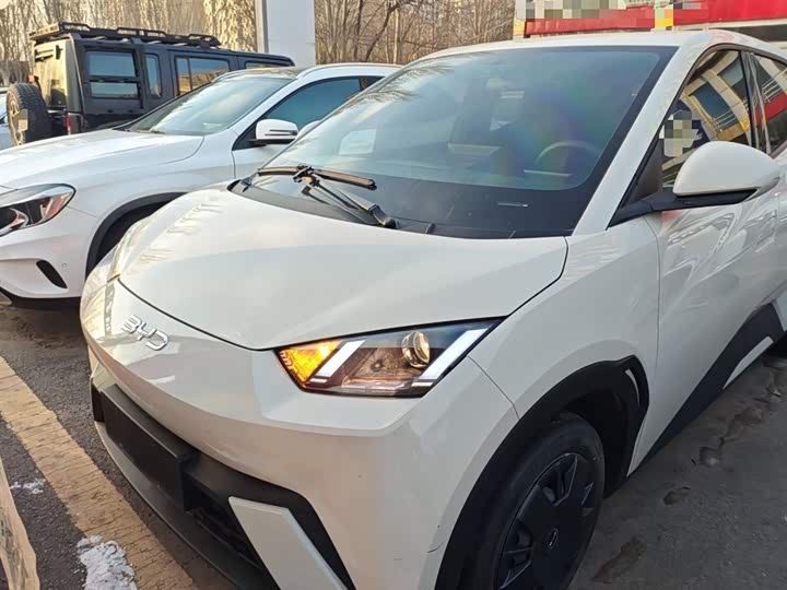 Фото 3 - BYD Seagull