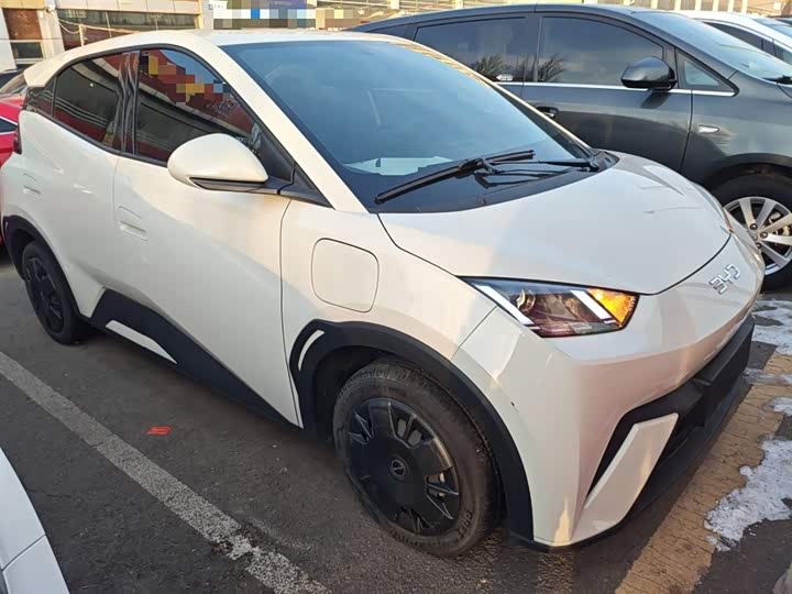 Фото 4 - BYD Seagull