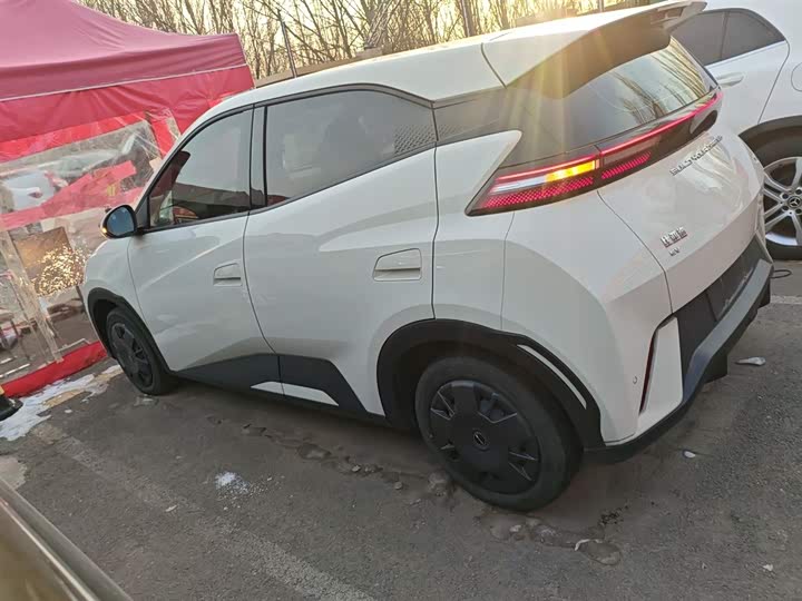 Фото 5 - BYD Seagull