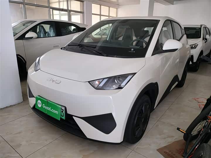 Фото 2 - BYD Seagull