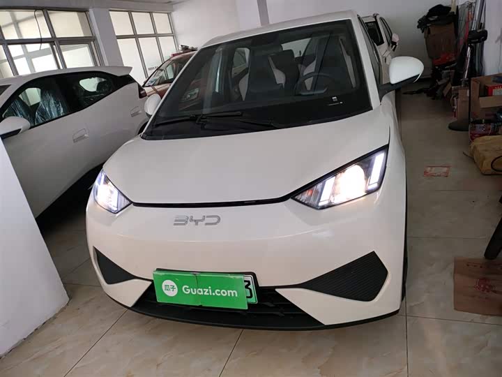 Фото 3 - BYD Seagull