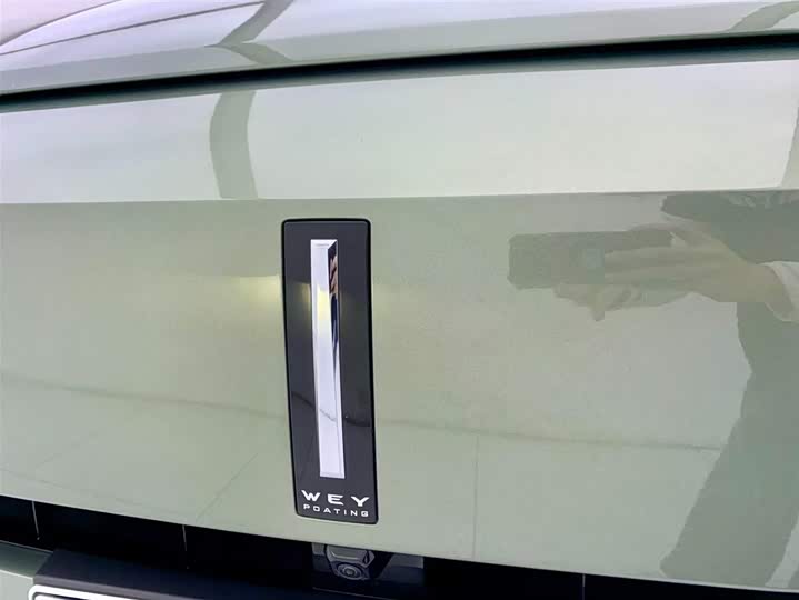 Фото 7 - Wey Lanshan