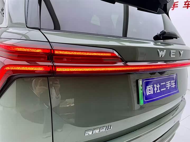 Фото 9 - Wey Lanshan