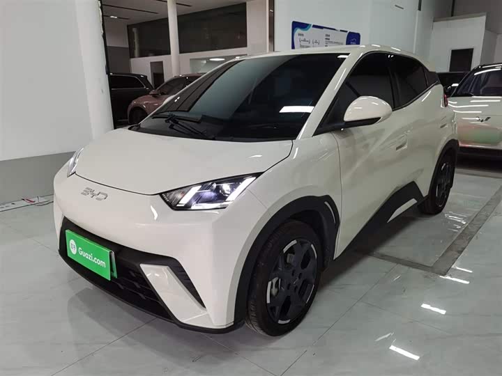 Фото 2 - BYD Seagull