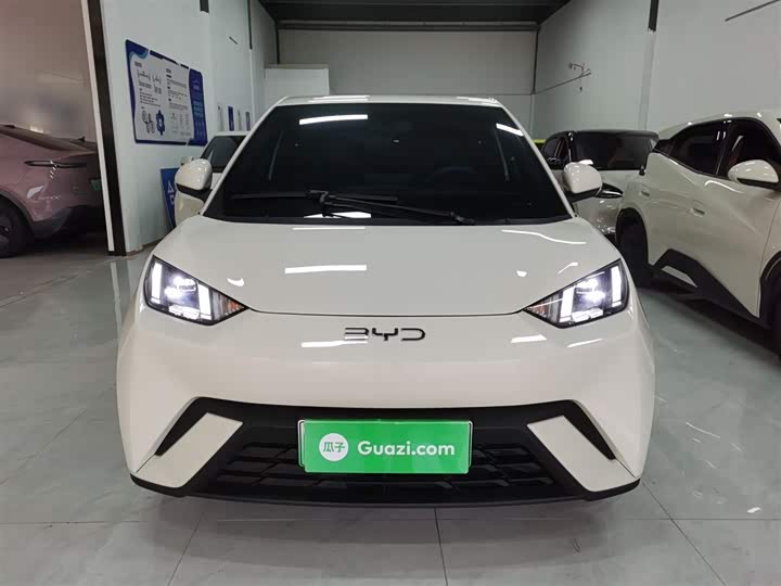 Фото 3 - BYD Seagull